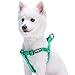 Blueberry Pet Essentials Step-in Dog Harness, Medium Size | Adjustable Emerald Vest | Classic Solid Nylon for Boy & Girl Dogs, Chest Girth 20