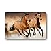 Roman's Doormat Personalize Decor Carpets ? Door Mats Horses Running Machine Washable s Indoor Outdoor House Doormats Area Rugs Entryway Mats Non-slip Rubber Backing 23.6in by 15.7 in