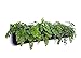 Delectable Garden 5 Pocket Waterproof Hanging Vertical Horizontal Indoor/Outdoor Wall Planter, Herb Garden, Flower Garden, for Yard, Kitchen, Home Decor