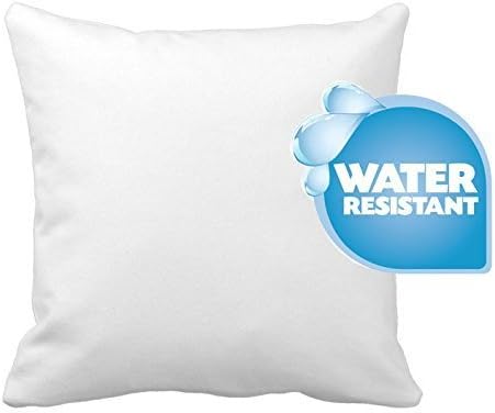 IZO Home Goods Premium Outdoor Anti-Mold Water Resistant Hypoallergenic Stuffer Pillow Insert Sham Square Form Polyester, 24" L X 24" W, Standard/White