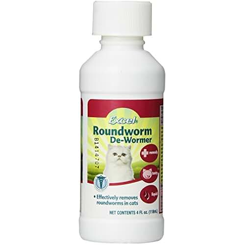 cat worm medicine for tapeworms