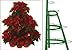 Creative Displays Half Round Poinsettia Tree Rack Display 072W – Freestanding Vertical Garden Frame | Great for Poinsettias, Flowers, Potted Plants, Succulents, and More (3.5 Ft)thumb 1