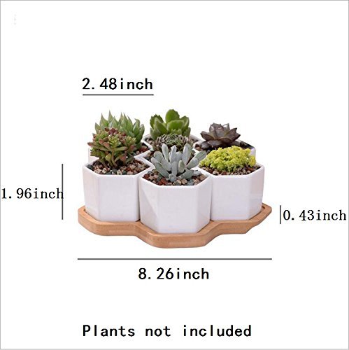 Ceramic Flower Pot,Y&M(TM) Pack of 7 White Simple Design Sucuulent Plant Pot/Cactus Plant Pot Flower Pot with Bamboo Tray/Container/Planter(Pack of 7 )