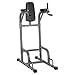 XMark Vertical Knee Raise with Dip Station XM-4437.1