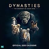 BBC Dynasties 2020 Calendar - Official Square Wall Format Calendar by