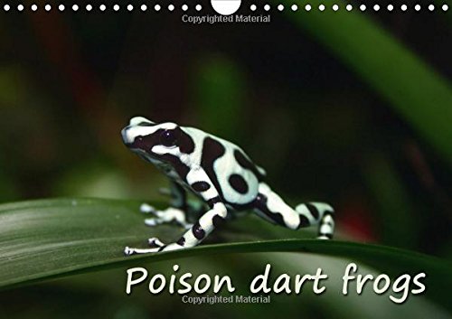 B.o.o.k Poison dart frogs / UK-Version / Birthday Calendar 2015: Poison dart frogs - the jewels of the rain ZIP