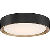 Access 49970LEDD-MBL/ACR Transitional LED Flush Mount from Malaga Collection in Black Finish,