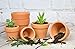My Urban Crafts 40 Pcs Small Mini Clay Pots 2.1 inch Mini Terracotta Pots Clay Ceramic Pottery Planter Cactus Flower Pots Succulent Nursery Pots for Indoor/Outdoor Mini Plant, Crafts, Wedding Favors