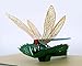 CUTPOPUP Dragonfly Card Pop Up, 3D Birthday Card Pop Up For Grandma, Mom, Mother In Law, Daughter, Niece -Ideal Gift On Birthday, Greeting, Christmas, Happy New Year.