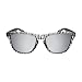 Oakley OO9013 Frogskins Square Sunglasses, Matte Clear/Chrome Iridium, 55 mm