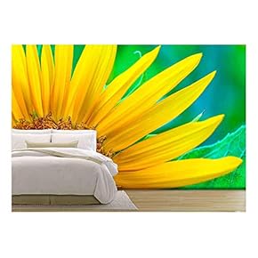 Closeup Sunflower on Green Leaf Background - Removable Wall Mural | Self-Adhesive Large Wallpaper - 66x96 inches