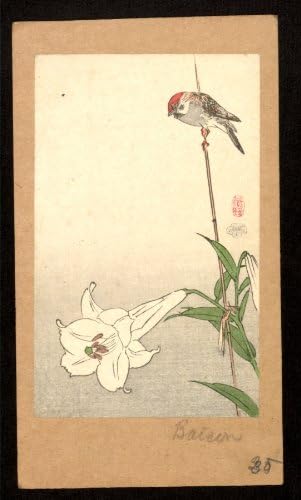 Japanese Print Yuri ni shokin. TITLE TRANSLATION: Small bird on lily plant.