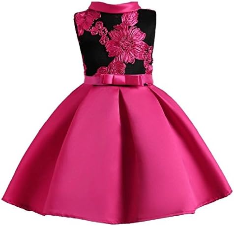 Generic Little Girl New Swing Party Princess Retro Floral Print Sleeveless Dresses Rose Red 5T