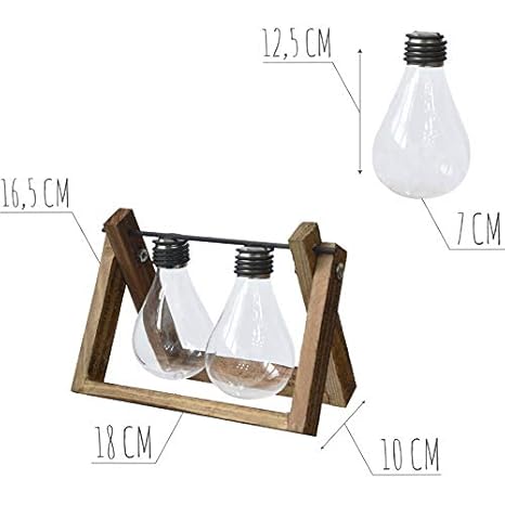 Macetero Interior Decorativo de Cristal, con Soporte de Madera ...