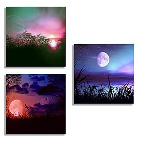 for Living Room Bedroom Home Artwork The Beautiful...