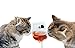 Simply Charmed Halloween Black Cat Magnetic Wine Glass Charms - Wine Magnet Drink Markers Set of 6