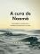 Livro A cura de Naamã: Descobrir a doença é o primeiro passo para a cura (Histórias Bíblicas)