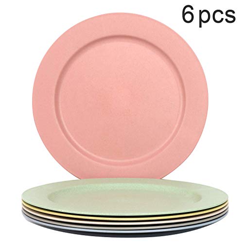 Shopwithgreen 6 pc 10 Inch Dinner Plates - Lightweight Unbreakable Wheat Straw Plates - Dishwasher and Microwave Safe
