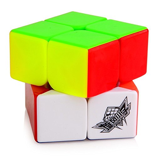 D-FantiX Cyclone Boys 2x2 Speed Cube Stickerless Magic Cube Puzzles Toys 50mm