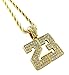 Gold & Iced Out Number 23 Pendant Hip Hop Necklace Jordan