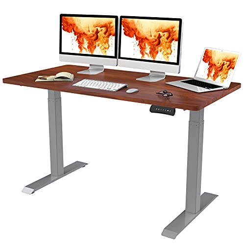 FLEXISPOT EC3 Dual Motor Electric Standing Desk 55x28 Inch Seamless Solid Slab Stand Up Desk