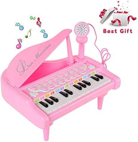 DaycMy Piano Toy Keyboard for 1 2 3 4 Year Old Girls, Multi-Function Mini Piano Music Keyboard Toys with Microphone 24 Keys ,Audio Link with Mobile IPad PC (Pink)