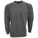 Comfort Colors Adults Unisex Crew Neck Sweatshirt (L) (Graphite)