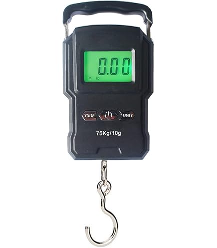 Amazon.com: YAGSUW Rechargeable Lugagge Scale Portable