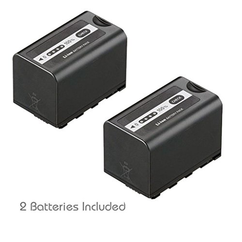 Kastar VBD58 Battery 2 Pack for Panasonic VW-VBD29 VW-VBD58 VW-VBD78 & Panasonic AG-3DA1 AG-AC8 AG-DVC30 AG-HPX171 AG-HPX250 AG-HPX255 AG-HVX201 AJ-PCS060 AJ-PX270 AJ-PX298 HC-MDH2 HC-X1000 HDC-Z10000