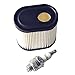 Podoy 36905 Air Filter, RJ19LM Spark Plug Kit for Compatible with Toro Recycler LEV100 LEV115 LEV120 OVRM105 OVRM65 TVS115 TVS120 5.5 HP Sears Mowers and Craftsman RV115 Lawn Mower