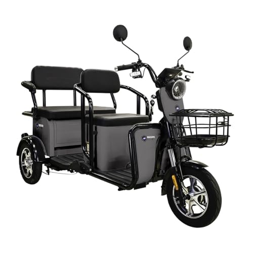 Massimo Motor Tricycle, ETrike 3 Wheels Electric Bike, MGC 800W Hub
