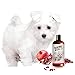 Sofee & Co. Natural Dog Puppy Conditioner - Moisturize Detangle Deodorize Condition Calm Soothe Soften Normal Dry Itchy Allergy Sensitive Skin. Prevent Mattes. 16 oz (Pomegranate)
