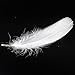 Coceca 350pcs White Feathers for Crafts 3-5 Inches (8-12cm) for Dreamcatcher Various Birthday Party Wedding Festival Decorations