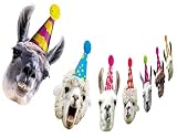 Llama Birthday Garland, Funny Alpaca Face Portrait Bunting, Hilarious Bday Party Decoration