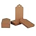 Shintop 100PCS Kraft Paper Gift Tags Bonbonniere Favor Rectangular Gift Tags with Free 100 Feet Natural Jute Twine (Oblong Paper Tag)
