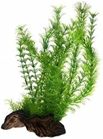 Hobby Flora Root 3. L - 30 cm. SB, Multicolored