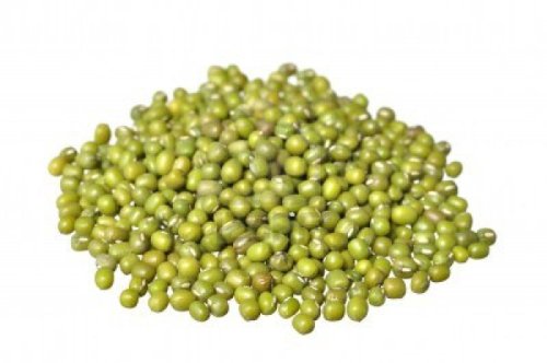 Sprouting Seeds Mung Bean 5 Pounds - Todd's Seeds [Misc.] - Thumbnail 2