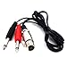 Yeworth 5ft/1.5m XLR to 6.35mm [1/4 inch] Audio Y Splitter Cable, 1 XLR Female to 2 Dual 6.35mm 1/4