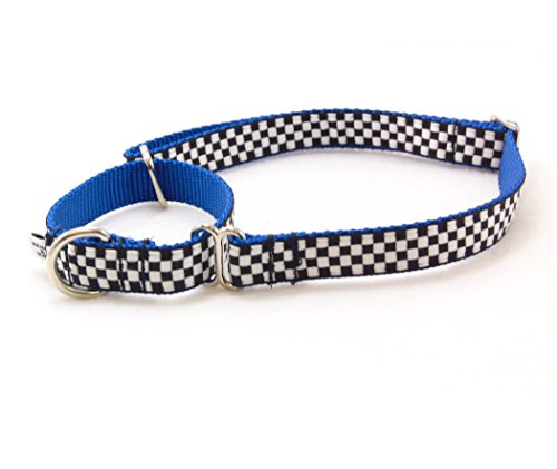 Monterey Blue Speedway Martingale Dog Collar (MD-3/4"x16"-25")