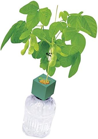Amazon Co Jp 聖新陶芸 Green Toy グリーントイ おつまみ枝豆 えだまめ えだ豆 ペットボトルで育てる栽培セット ホビー
