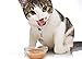 Delectables Bisque Lickable Wet Cat Treats - Tuna & Chicken, 1.4 oz (Pack of 12)