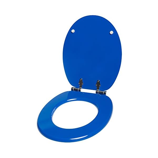 Klodeckel Blau geöffnete Ansicht