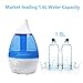Homeleader 1.6L Air Humidifier, Ultrasonic Cool Mist Air Humidifier with Color-Changing LED Lights for Yoga Spa Home Office Babies, Quiet Operation