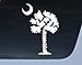 NI191 Palmetto Tree Vinyl Decal | 6