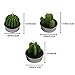 Ogrmar 12 PCS Cactus Candles Decorative Tea Light Candles for Home Party Birthday Wedding Decoration 3 Styles (Green)