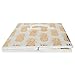 DII Non Woven Polyester Storage Bin, Metallic Pineapple, White & Gold, Large Set of 2
