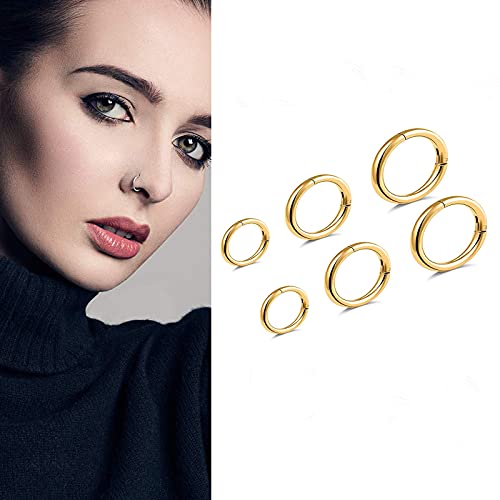 G23 Titanium Septum Ring Hinged Nose Rings for Women 16G Hoop Segment Rings Sleeper Earrings Body Piercing Jewelry Black/Silver/Gold/Rose Gold Rings, Diameter 6mm,8mm,10mm(6pcs) (Gold)