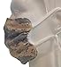 Breathe Healthy Digital Camo Face Mask, Reusable Mask for Men and Women, Adjustable, Breathable & Washable, Made in the USA
