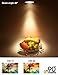 TORCHSTAR UL-Listed Energy Star 13.5W Dimmable PAR30 LED Bulb, 75W Halogen Eqv. 850lm Damp Location Spotlight Bulb for Recessed, Gimbal Ring, Track Lighting, Warm White 3000K, Pack of 4