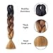 Hairingrid Jumbo Braid Hair Ombre Extension 24inch 6pcs/Lot 100g/pc Synthetic Hair Twist Braiding Hair Crochet Hair for African American Women (R76XM57）